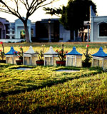 手机号在线轰炸测试